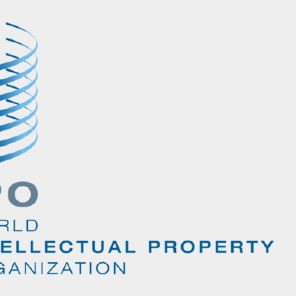 L'Organizzazione Mondiale per la Proprietà Intellettuale e la Direzione Generale per la Lotta alla Contraffazione-UIBM ...