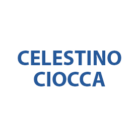 Celestino Ciocca - Percorso ICC Agri-food Hub Italian Food Management