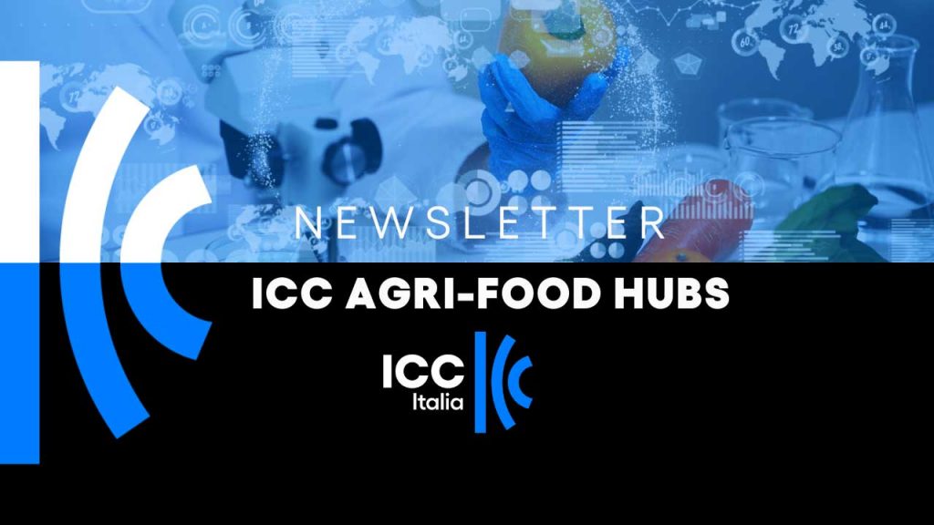 Copertina newsletter ICC Agri-Food Hubs