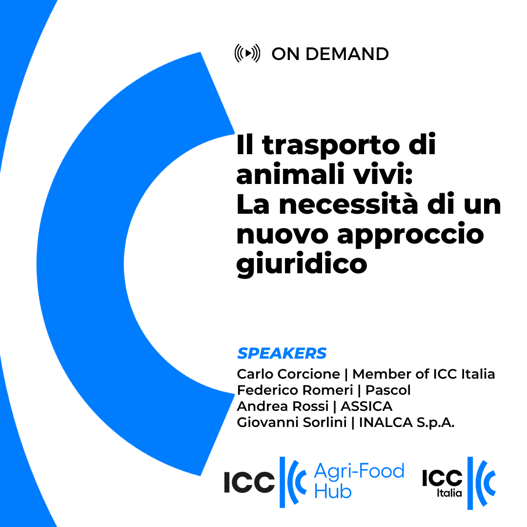 Il trasporto di animali vivi: La necessità di un nuovo approccio giuridico
