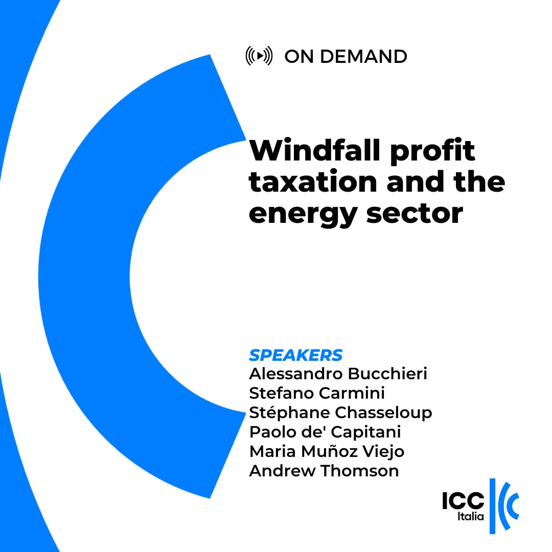 Windfall profit taxation and the energy sector